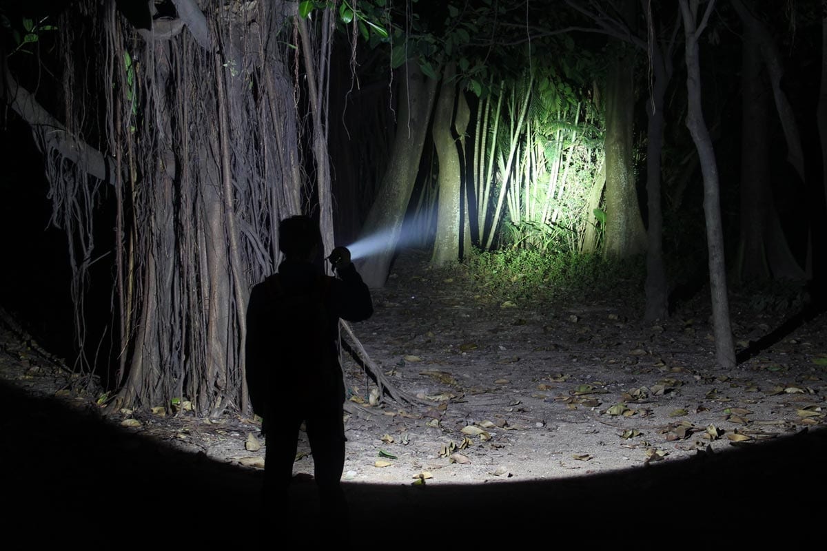 TK61 Fenix Flashlight - DISCONTINUED